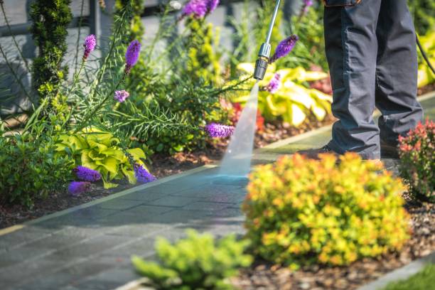 Best Dumpster Area Cleaning  in Rosend, LA