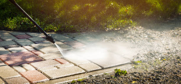Best Animal Enclosure Cleaning  in Rosend, LA